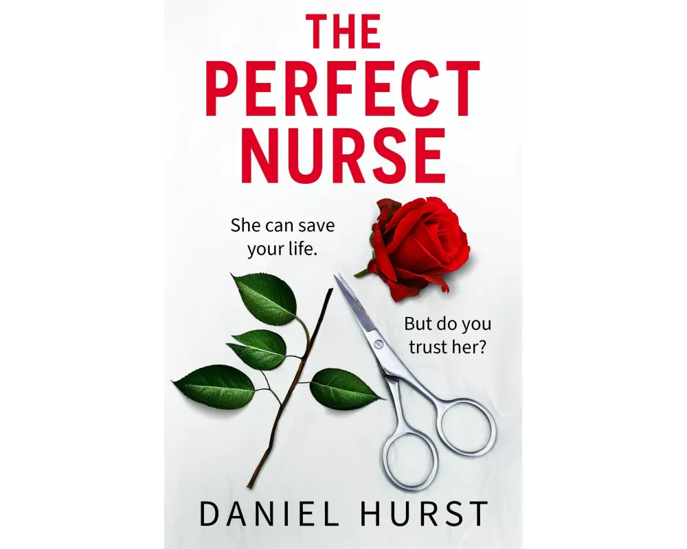 The Perfect Nurse