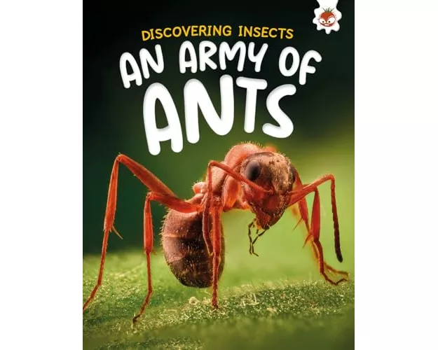 Discovering Insects: An Army of Ants