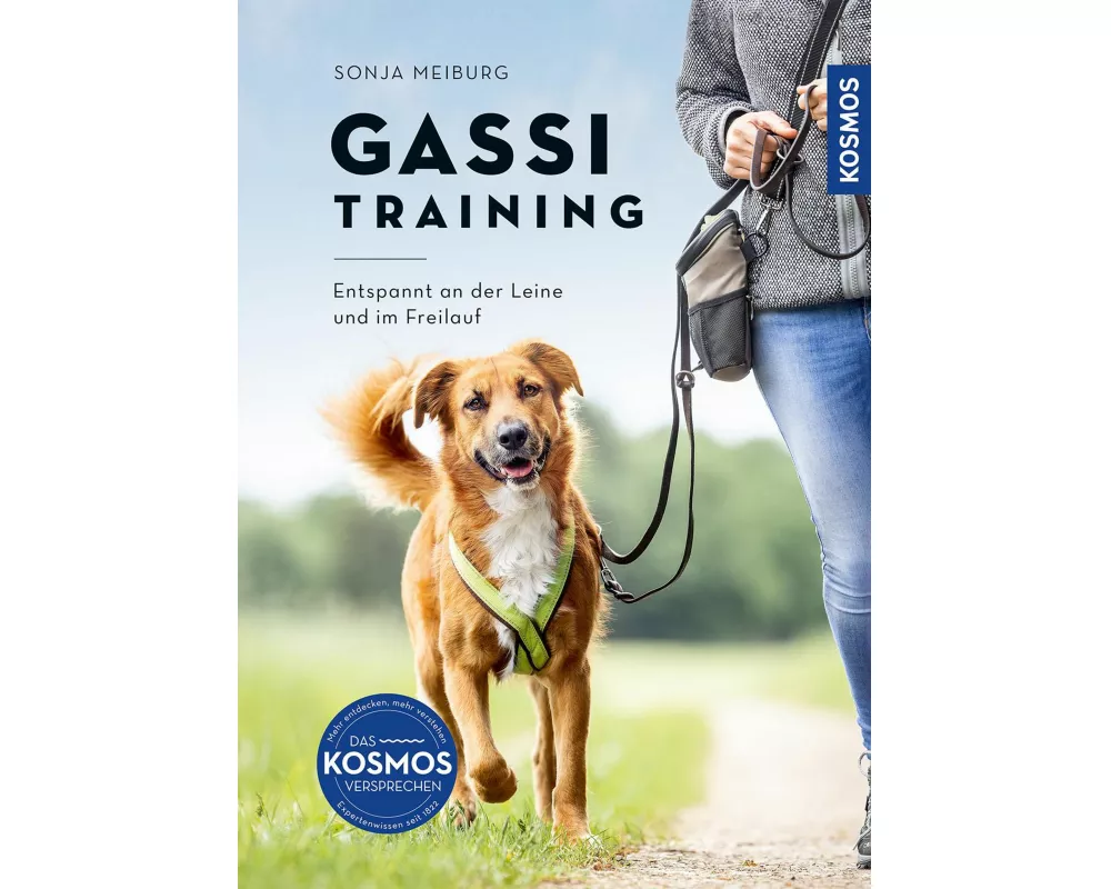 Gassi-Training