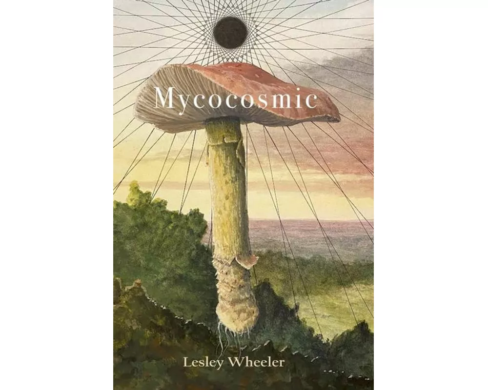 Mycocosmic