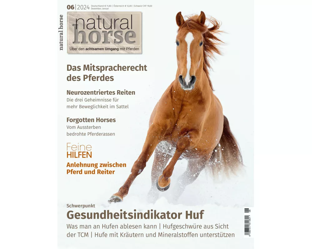Natural Horse 54