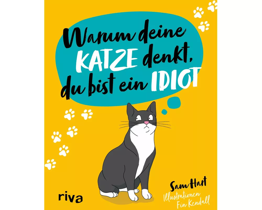 Warum deine Katze denkt, du bist ein Idiot