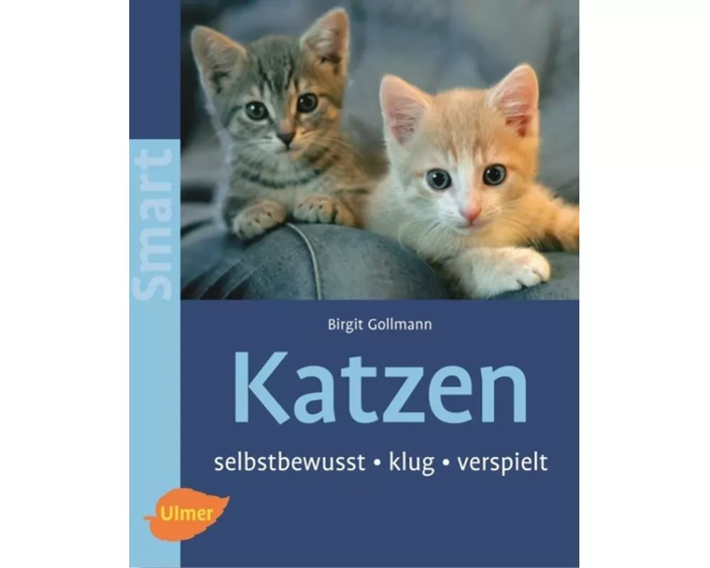 Katzen