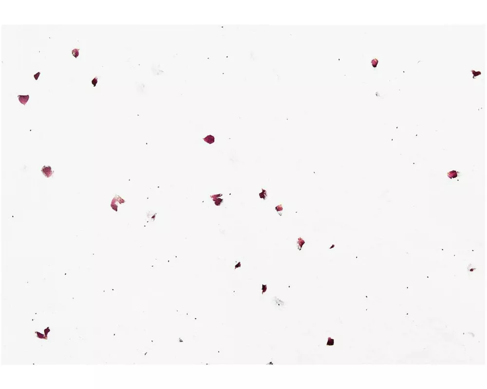 Bastelbogen 50 x 70 cm, Baumwollpapier mit Rosenblüten