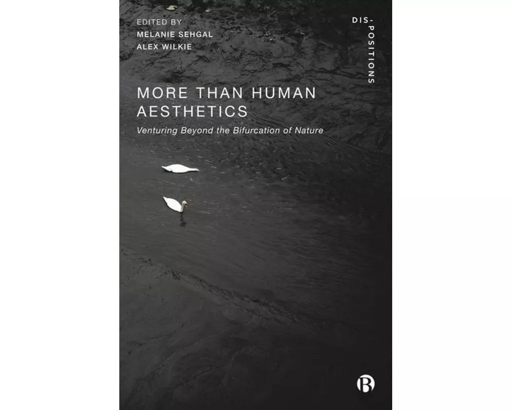 More-Than-Human Aesthetics