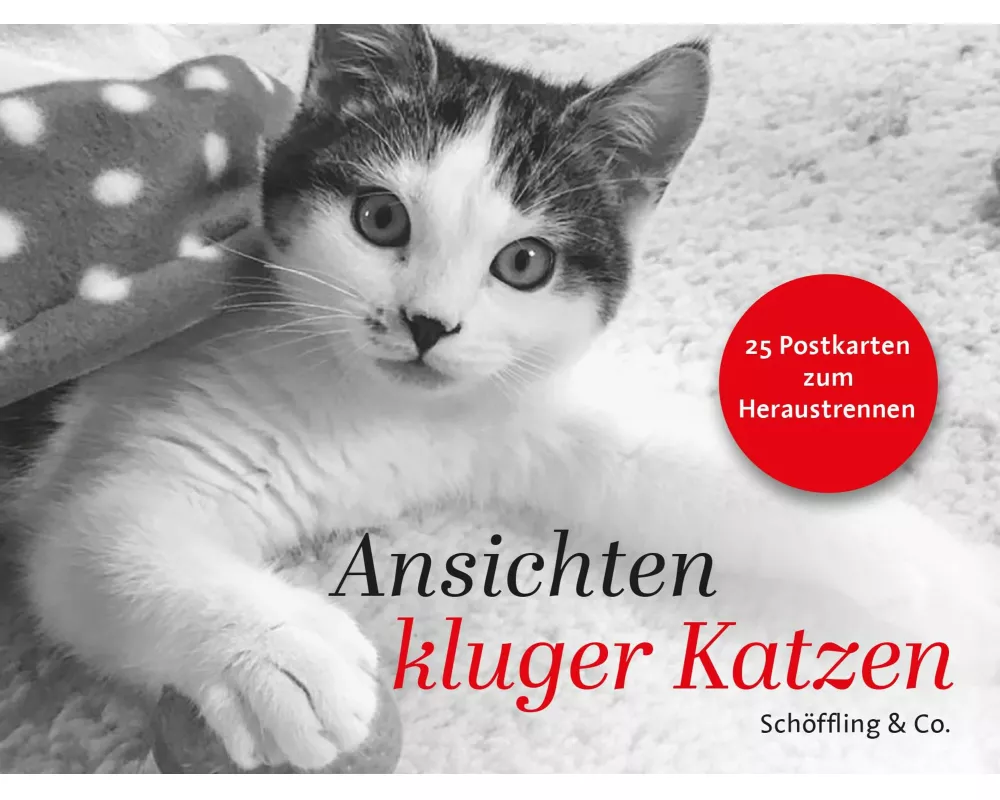 Ansichten kluger Katzen