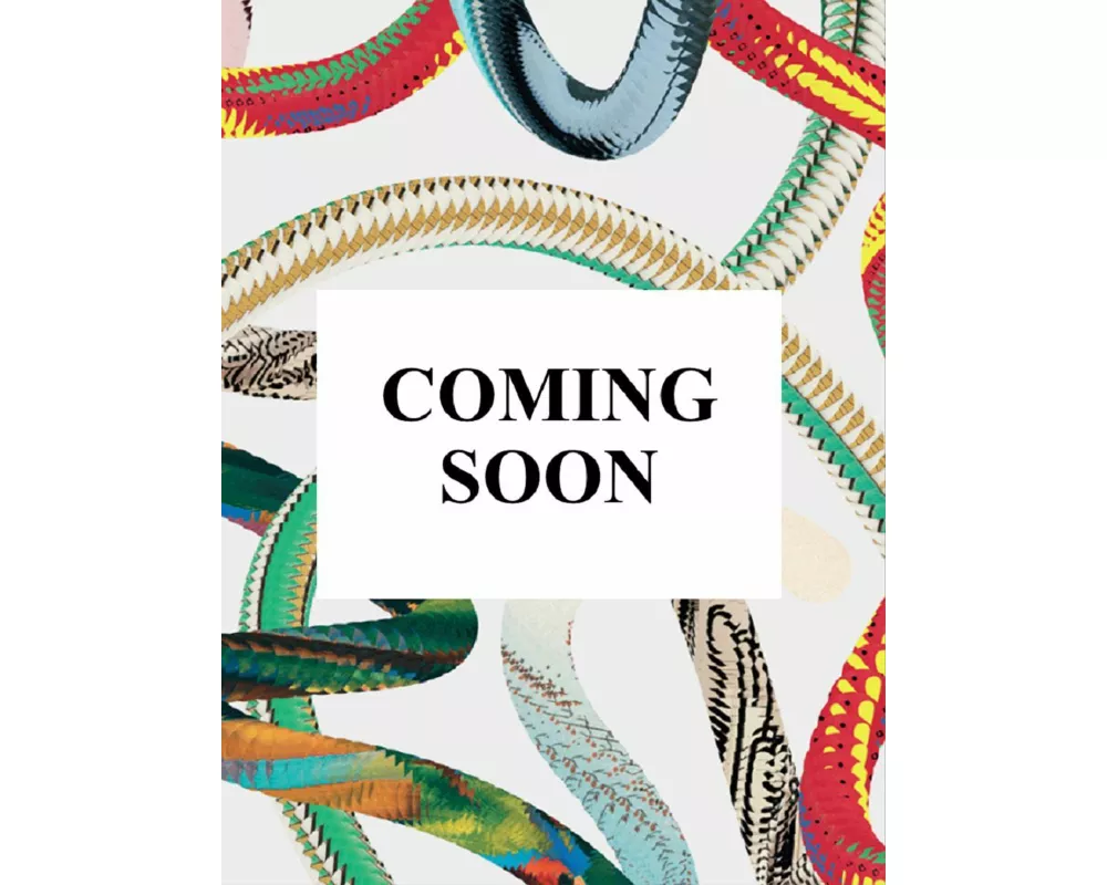 James Baldwin. Steve Schapiro. The Fire Next Time