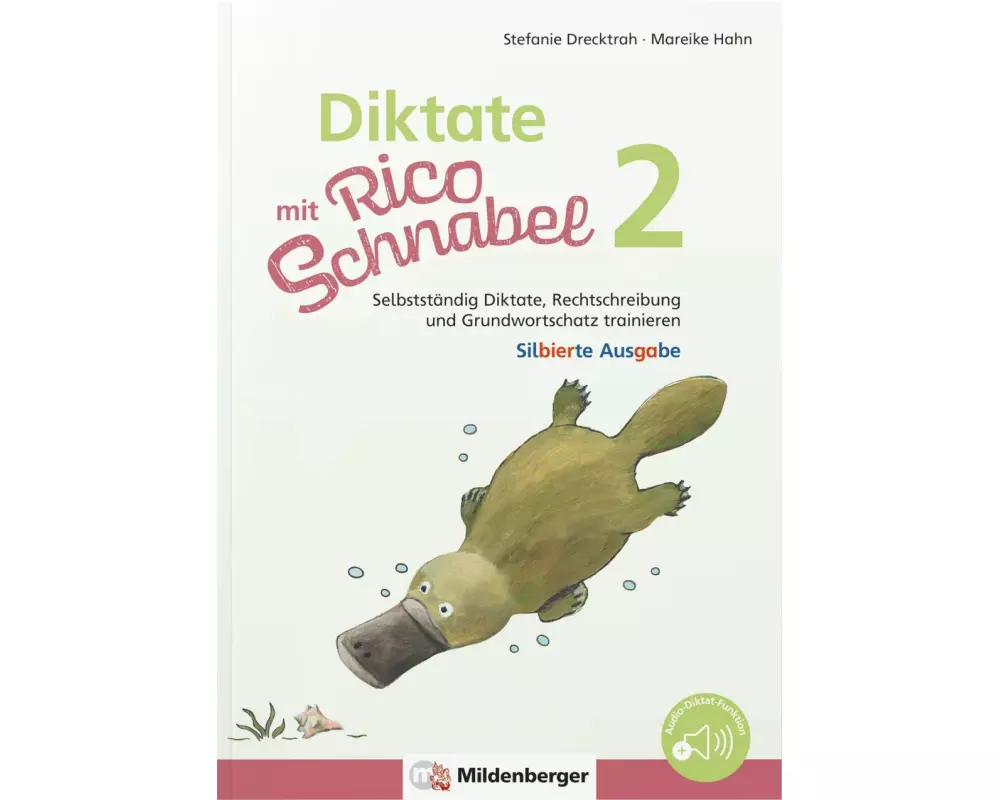 Diktate mit Rico Schnabel, Klasse 2 - silbierte Ausgabe