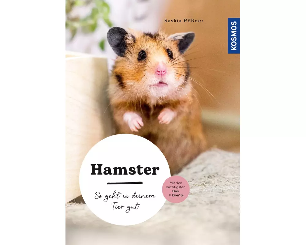 Hamster