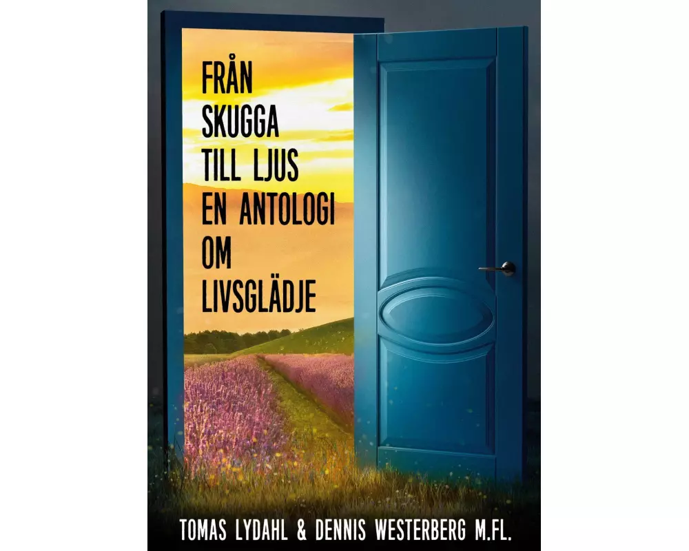 Från skugga till ljus