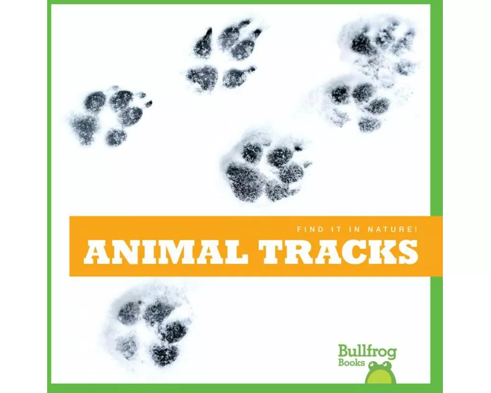 Animal Tracks