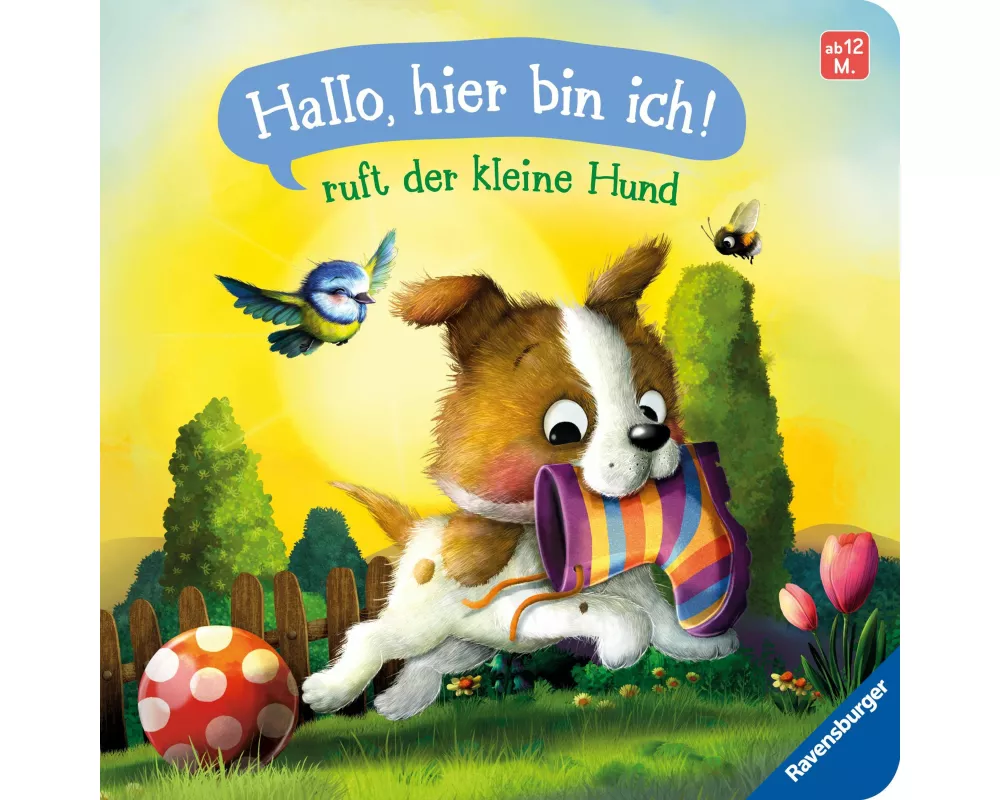 "Hallo, hier bin ich!", ruft der kleine Hund
