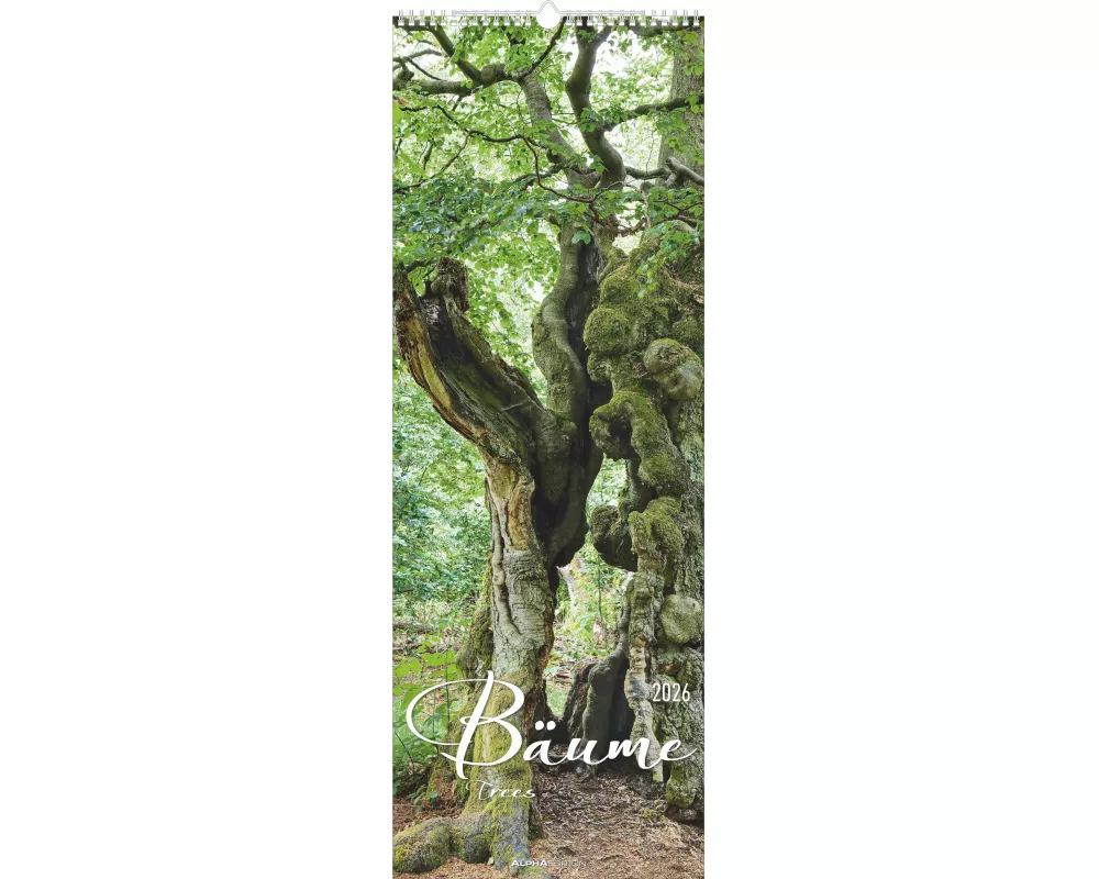 Alpha Edition - Bäume 2026 – Streifenkalender XXL 25x69 cm – Bildkalender im Hochformat – Für Natur- und Baumliebhaber – 12 beeindruckende Baummotive