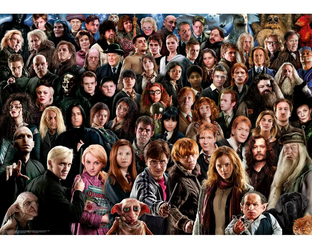 Erwachsenenpuzzle 1000 Teile - Challenge Harry Potter