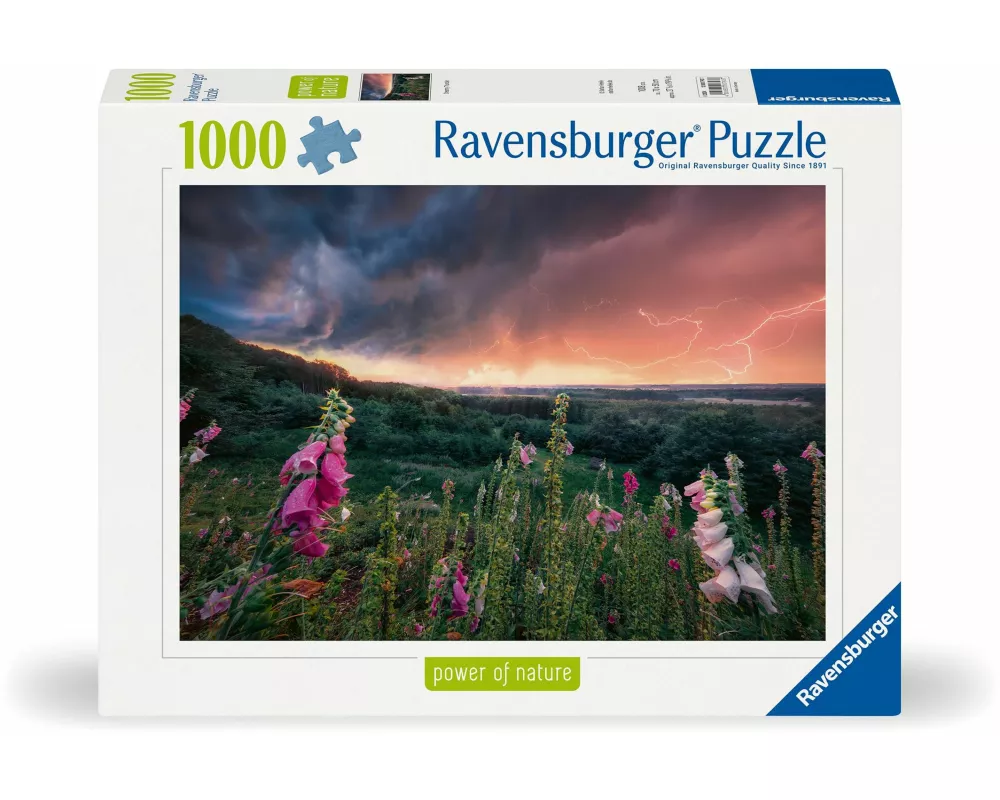 Erwachsenenpuzzle 1000 Teile - Ein Sturm zieht auf