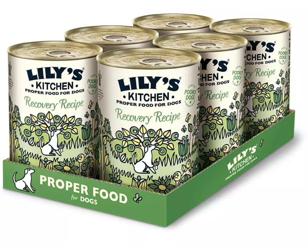 Lily's Kitchen Nassfutter Recovery Recipe, 6 x 400 g