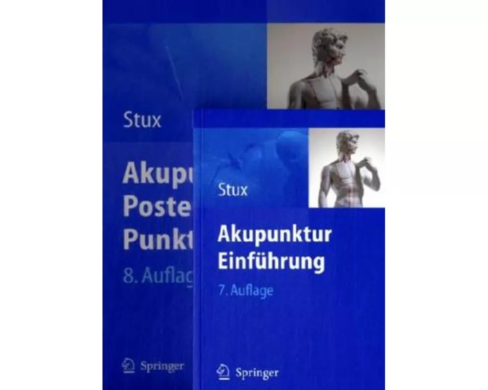 Akupunktur - Einführung und Poster