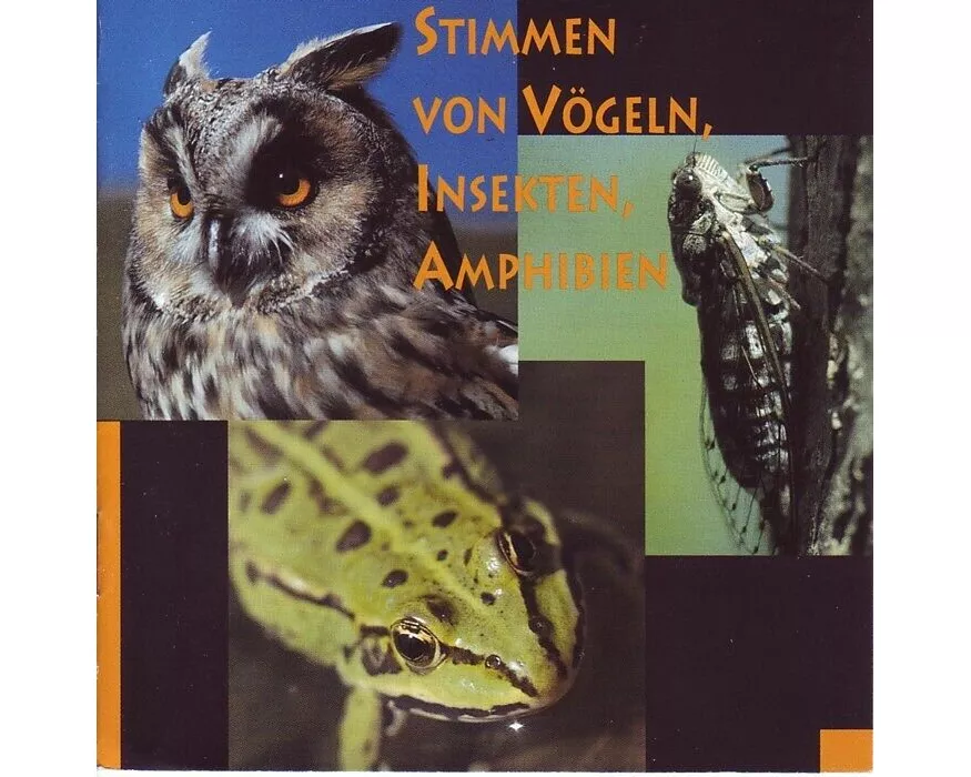 Stimmen von Vögeln, Insekten, Amphibien