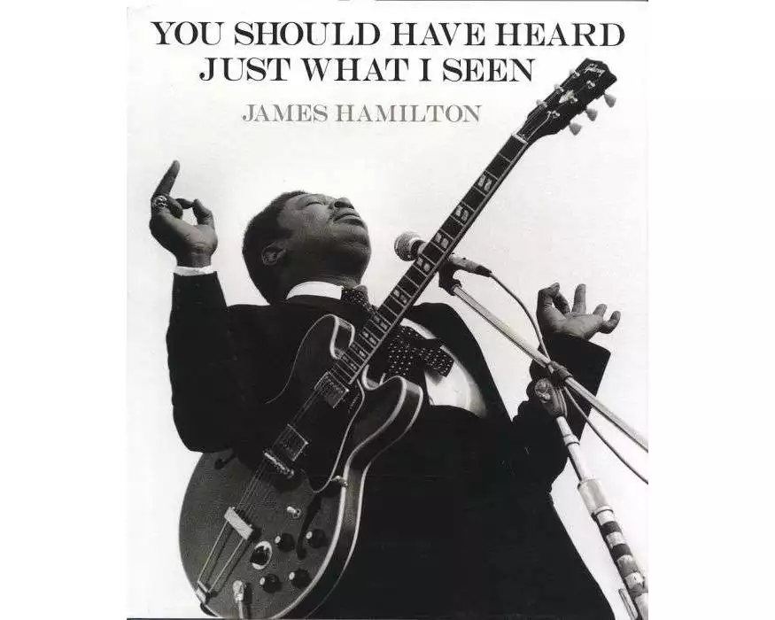 James Hamilton: You Should Have Heard Just What I Seen