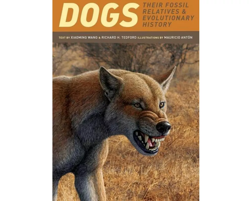 Dogs