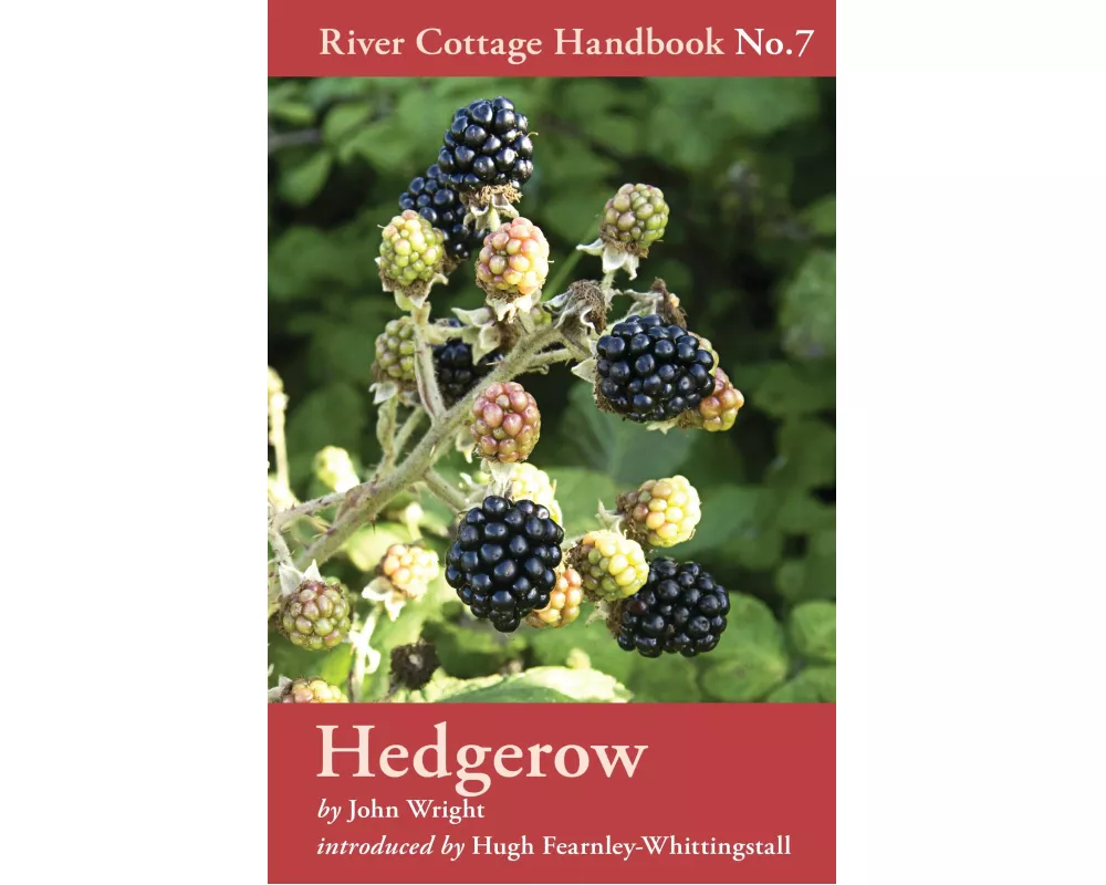 Hedgerow