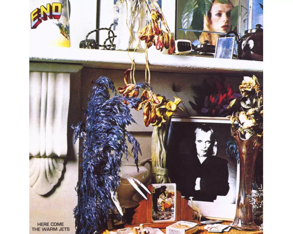 Here Come The Warm Jets (2004 Remastered)