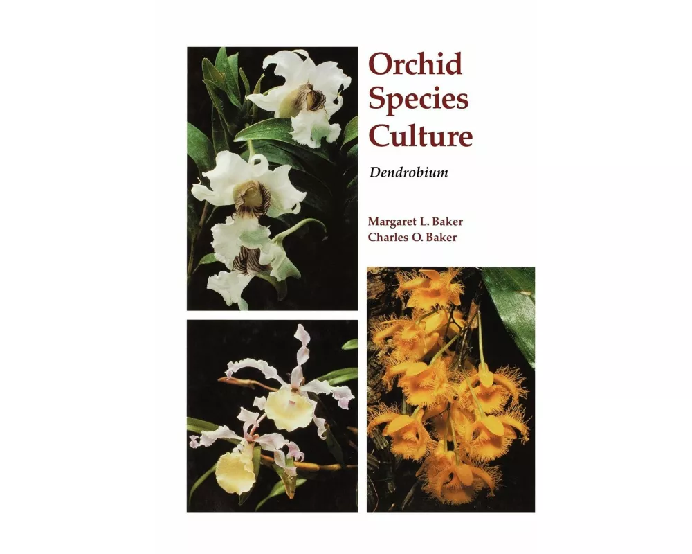 Orchid Species Culture