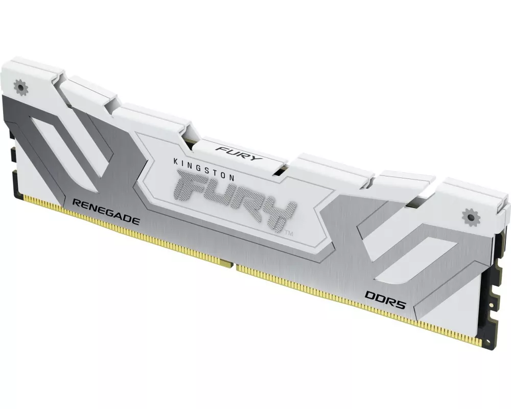 Kingston DDR5-RAM FURY Renegade 8400 MHz 1x 24 GB