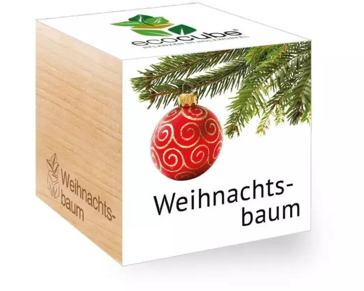 Feel Green Ecocube Weihnachtsbaum