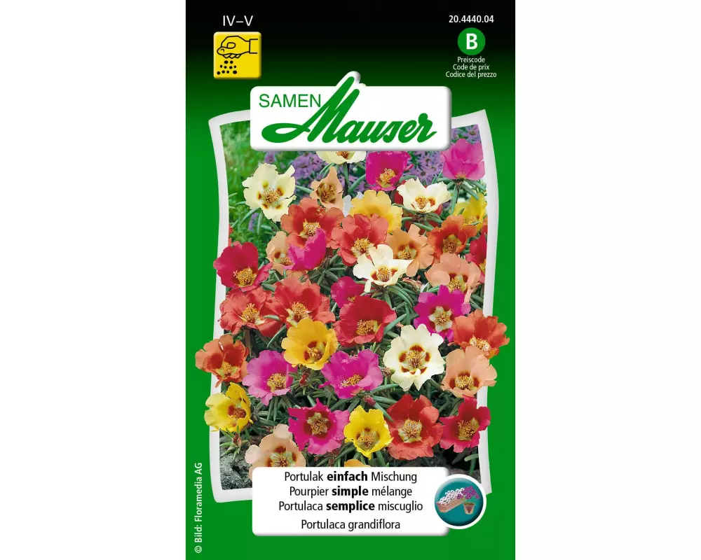 Samen Mauser Saatgut Portulak einfach Mischung