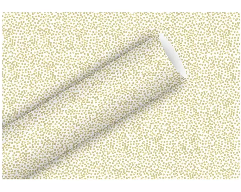 Braun + Company Geschenkpapier Minidots Weiss/Gold, 70 cm x 2 m