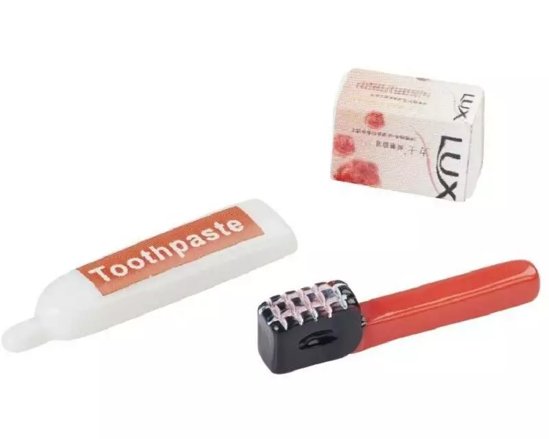 HobbyFun Mini-Utensilien Zahnputzset Rot