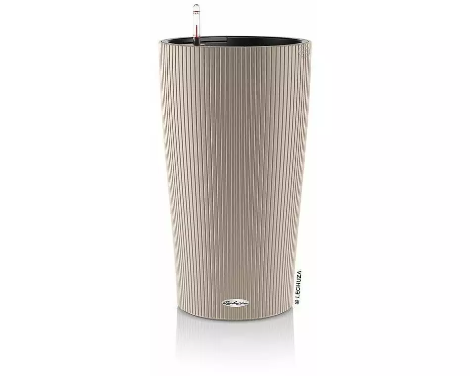 Lechuza CILINDRO Color 32 Sandbraun