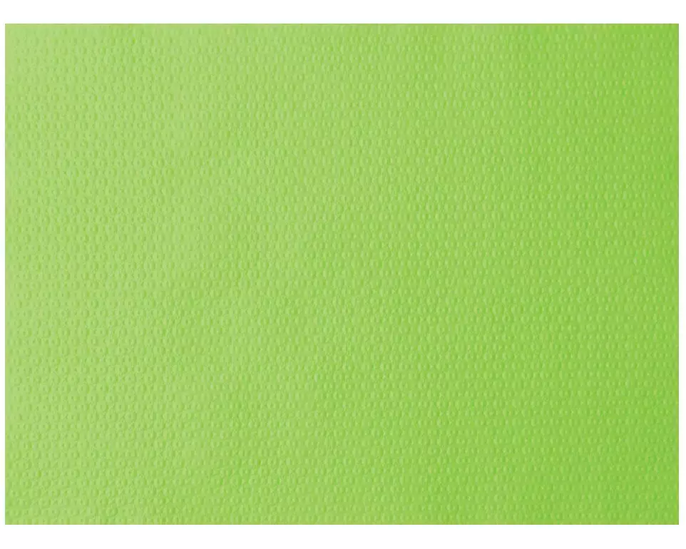 Duni Tischset 500 Stück 30 cm x 40 cm, Grün