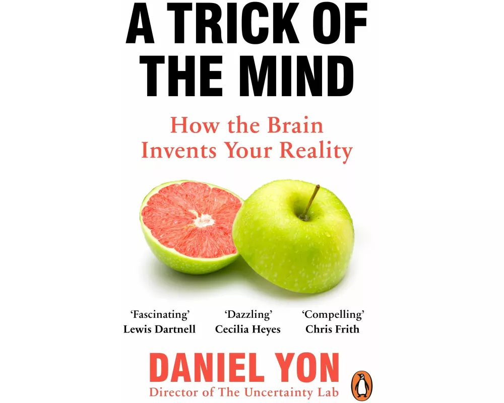 A Trick Of The Mind