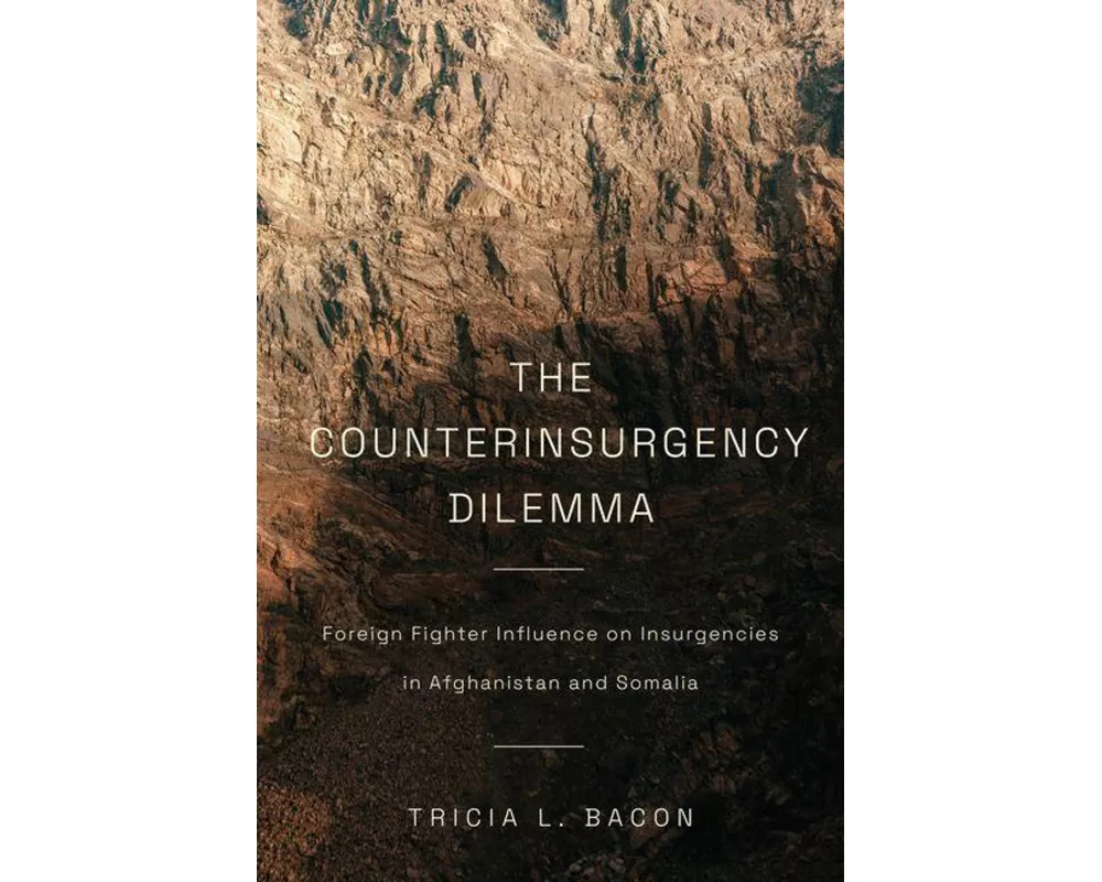 The Counterinsurgency Dilemma