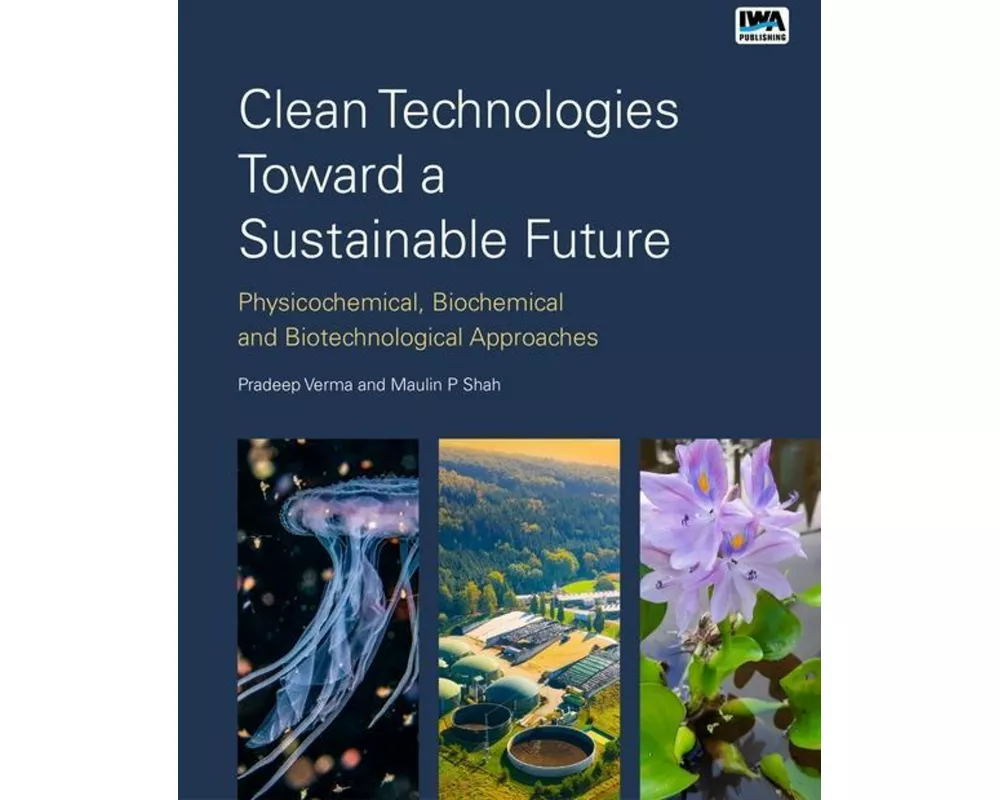 Clean Technologies Toward a Sustainable Future