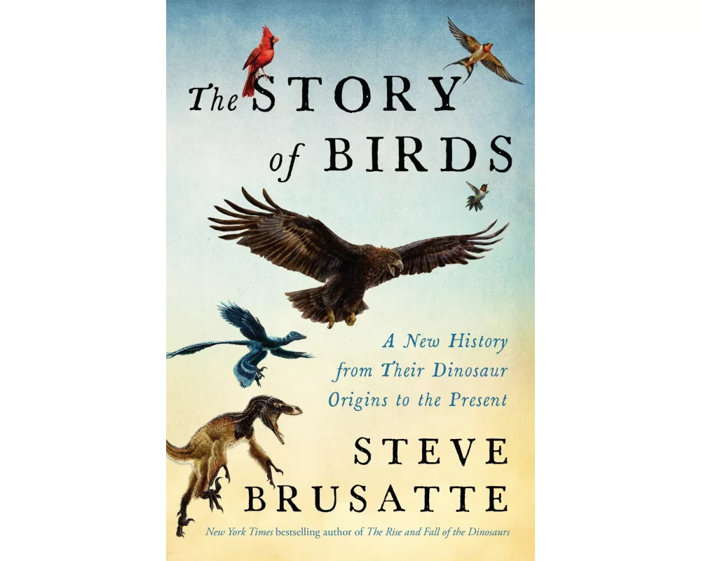 The Story of Birds