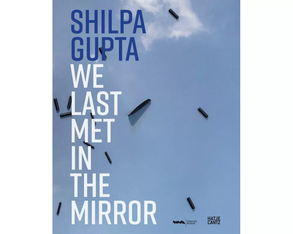 Shilpa Gupta. we last met in the mirror