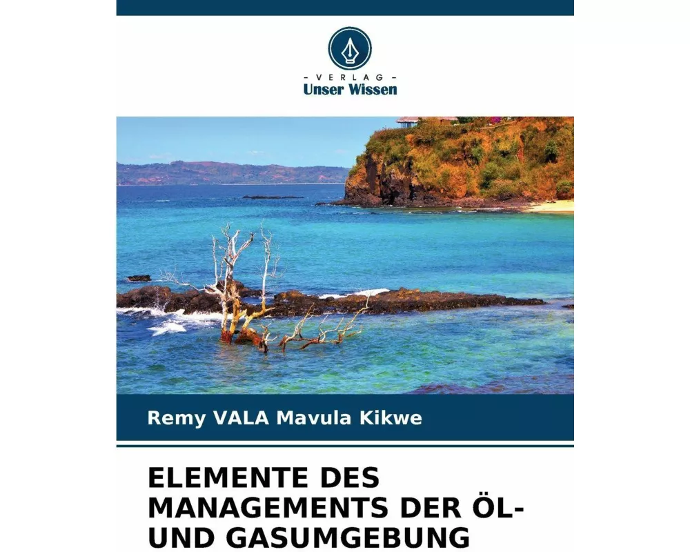 Elemente Des Managements Der Öl- Und Gasumgebung