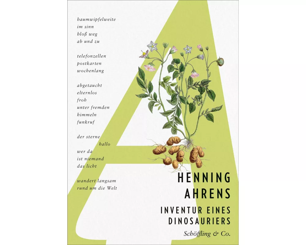 Inventur eines Dinosauriers