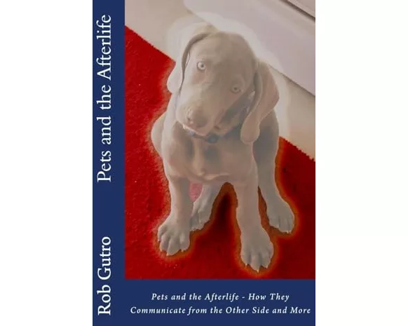 Pets and the Afterlife