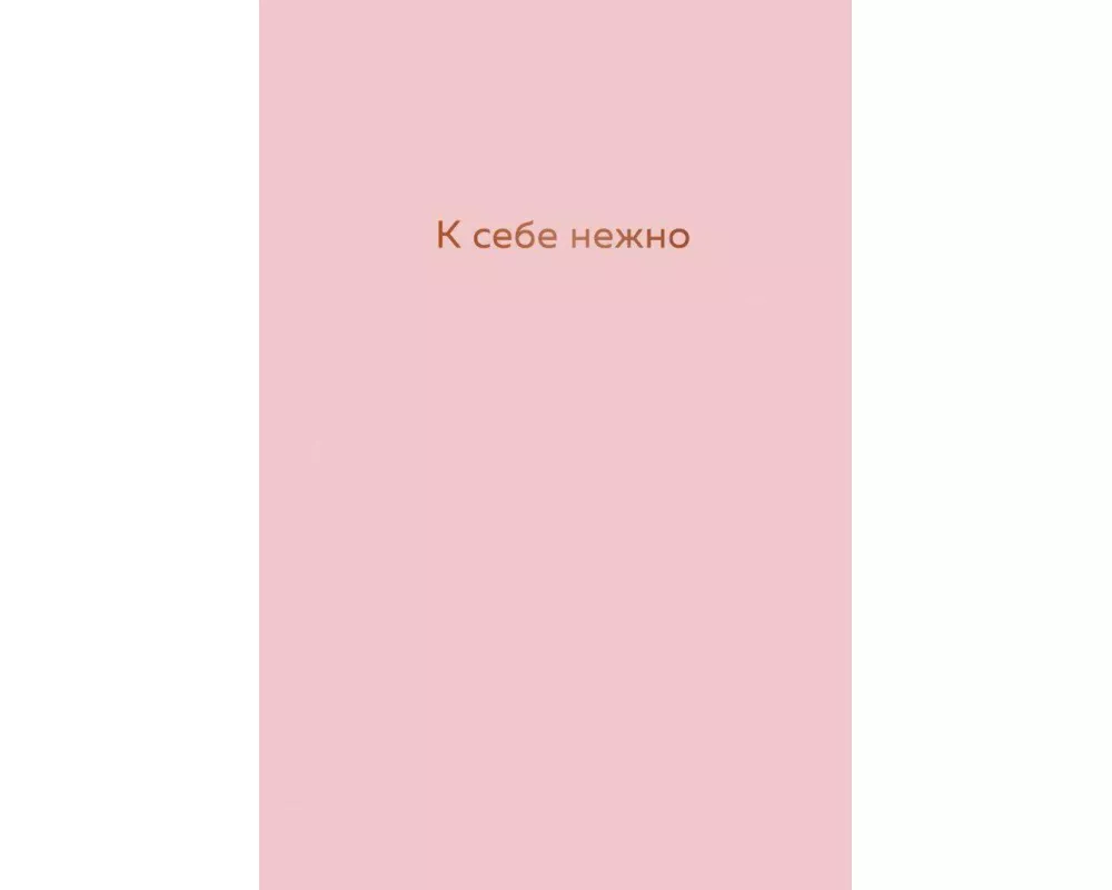 K sebe nezhno. Ezhednevnik