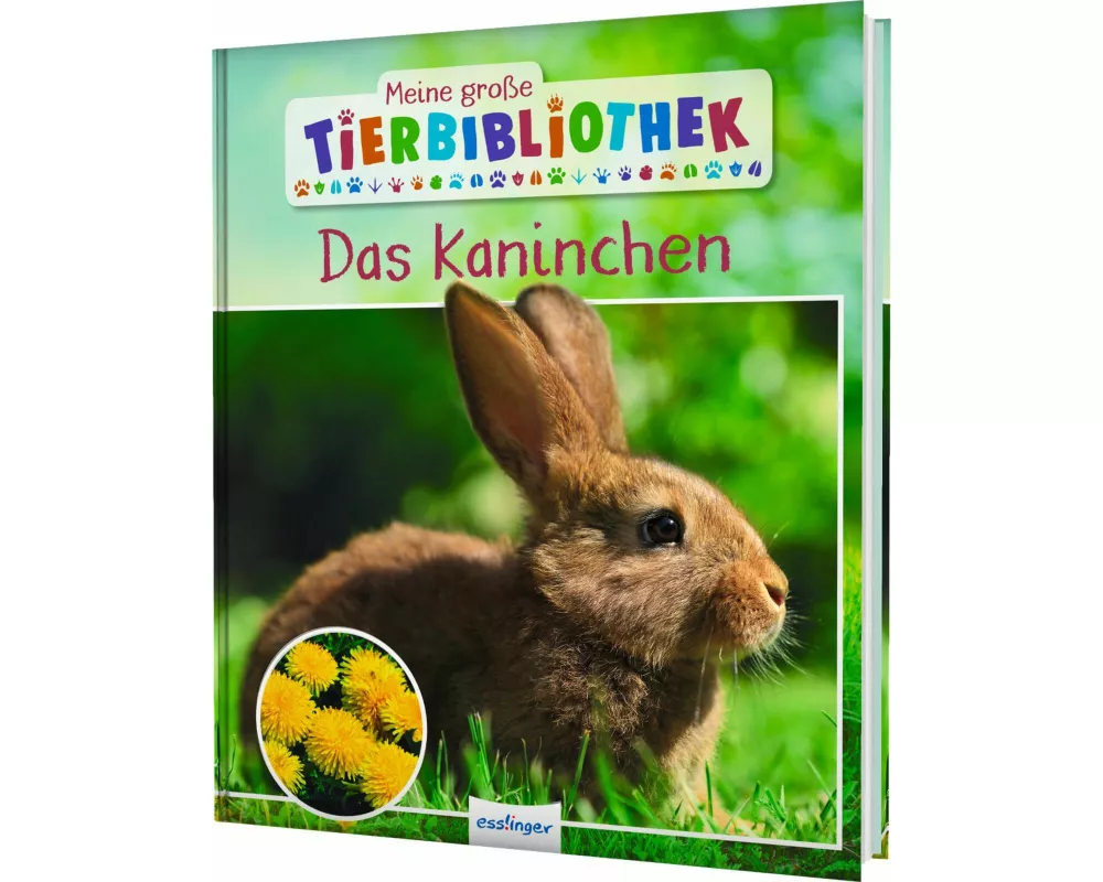 Meine große Tierbibliothek: Das Kaninchen