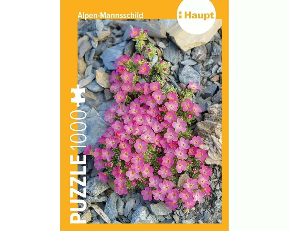 Alpen-Mannsschild – Puzzle