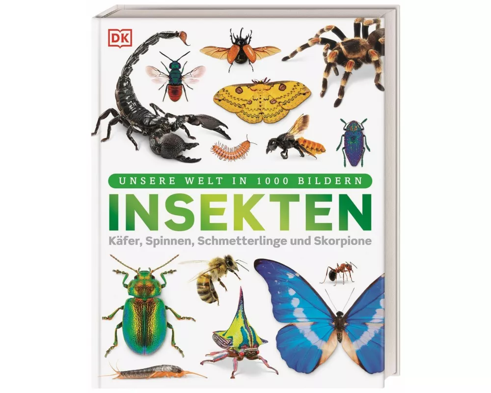 Unsere Welt in 1000 Bildern. Insekten