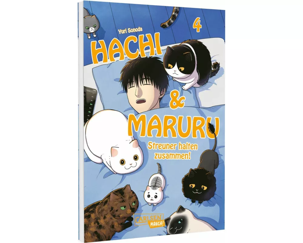 Hachi & Maruru – Streuner halten zusammen! 4