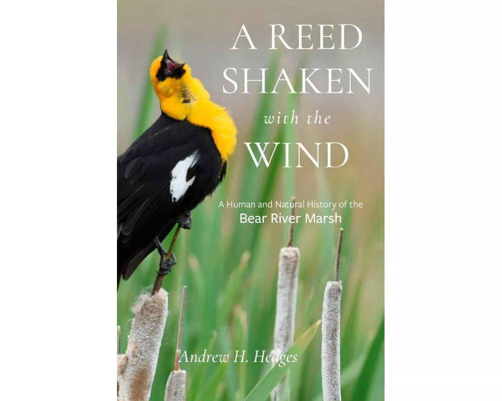 A Reed Shaken with the Wind