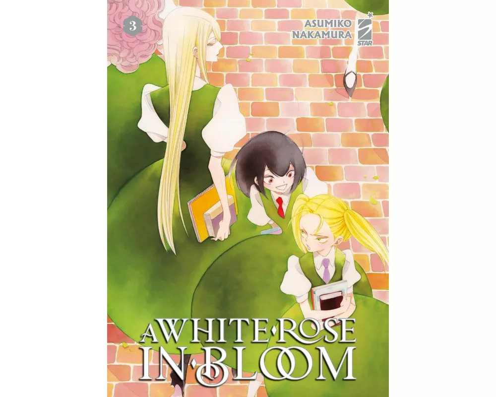 A white rose in bloom. Vol. 3