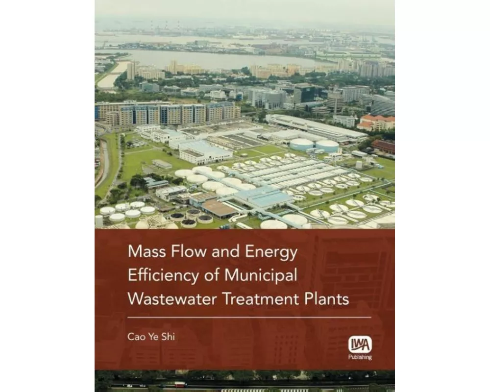 Mass Flow and Energy Efficiency of Municipal Wastewater Treatment Plants